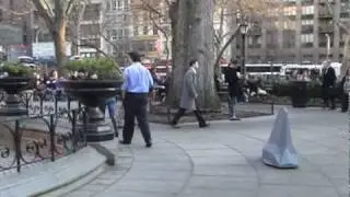 City Shark