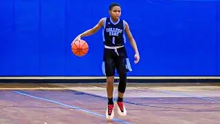 10U BALLERS GOT MAD SKILLS🔥🔥College Park Heat vs Nets Youth Basketball Highlights