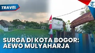 AGRO EDUWISATA ORGANIK MULYAHARJA, Surga Kecil di Kota Bogor yang Tak Cuma Tawarkan Keindahan Alam