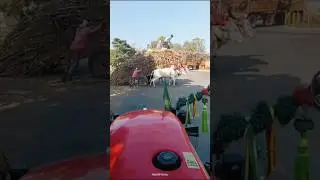 #farming #shorts #video