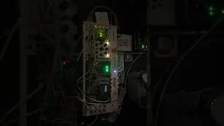Aura Modulare: testing EnOsc tritone stack with Desmodus Versio, under Triple Sloth modulation