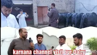 welcome to the karnana channel |Dairy farming| Village life|Village life VLOGGER