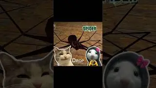 Dangerous Spider  😱 |  I Beat Dangerous Spider   🔥#granny #granny1