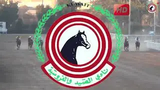 الاجتماع ( 16 ) الشوط ( 6 ) الجواد / معاذ / اسطبل / الحمدان