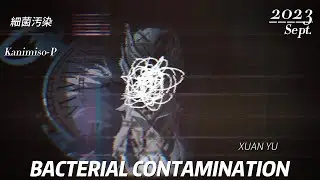 【SynthVカバー】細菌汚染 / SAIKIN OSEN / BACTERIAL CONTAMINATION【XUAN YU】