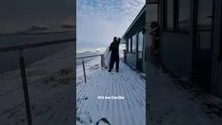 Fearful of the real world?! | Cabin reset on #svalbard