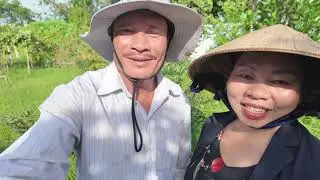 Vợ chồng U60 dạo vườn ngày nắng đẹp - cây trái đầy sân, cỏ cũng đầy luôn!
