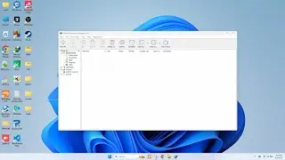 IDM Activation Script (Activator + Registry Cleaner)