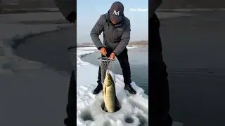 Ice and Cold Camping Videos! Big Fish Hunting on Ice #shorts #fishing #camping #carpfishing
