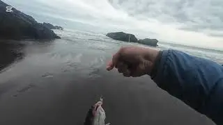 Pescando robalo  con carnada artificial fishbites 