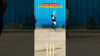 Stunning Cut Shot #cricket #cricketshots #cricketbattingpractice #ytshorts