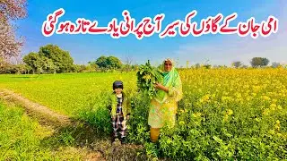 Aaj Pourani Yadain Taaza Kain, Ammi Jaan Ke Gaon Ki Sair 🏚️🛖II Village Life Pakistan