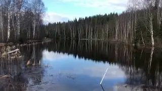 Sveaskog - Nu &auml;r det nog!