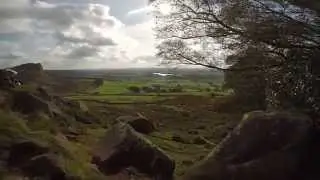 Staffordshire Grit