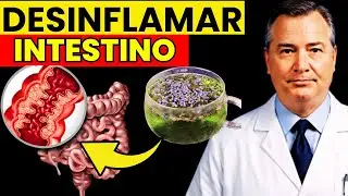 Solo 1 Infusi&oacute;n para DESINFLAMAR el INTESTINO y MEJORAR el &Aacute;NIMO | Vida Saludable - Espa&ntilde;ol