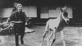 Kajirō Yamamoto &bull; Horse (1941/III) &bull; Akira Kurosawa (2nd Unit Director) &bull; Hideko Takamine