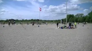 Landsfinaler 2015 - Ponygames afd. B - M&aelig;lkekartonridt