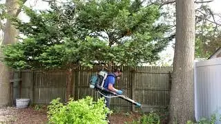 Reducing Ticks and Mosquitoes in Silverton, NJ