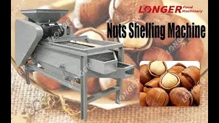 Hazelnut Shelling Machine--Hazelnut Hulling and Shelling #Shorts