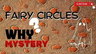 What Causes Namibia's Fairy Circles? | Mysterious Places