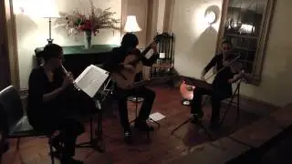 Francesco Barone Performs: Andean Fiestas by Jose Lezcano