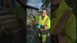 Step-by-Step Guide to Safely Clean Moss Off Brick Retaining Walls