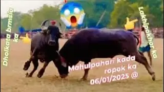 sandar kada ropok😱😱😱😱😱😱 #kadaropok #reels #funny #partiyogita #khatarnaak #mahulpaharikadaropok