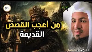 أعجب وأغرب القصص التي ذكرت في القرآن الكريم! قصص مؤثرة جدًا   الشيخ محمد الشنقيطي