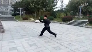 Xing Yi Quan (Hsing I Chuan) animal 形意拳 十二形 鼍龙 (鼉龍) tu&oacute; l&oacute;ng(Turtle-dragon, Crocodile) H&igrave;nh &yacute; quyền