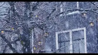 New 6hrs of Snow Falling Relaxation, Meditation, Sleep, Study, Insomnia video - Prefect For sleeping
