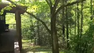 4563 River Road - Franklin NC home for sale