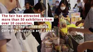 The first shopping carnival for imported goods to be continued