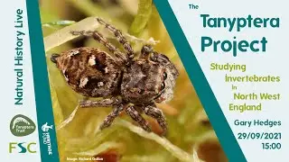 The Tanyptera Project