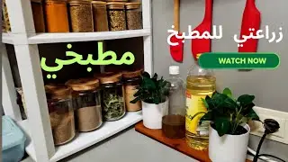 طريقة الزراعة للمطبخ  .  ماذا نزرع في شهر يناير  للمطبخ  .