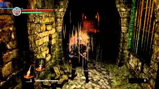 Dark Souls PtDE - First 20 min/Первые 20 мин
