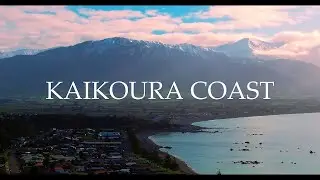 New Zealand 4K - Kaikoura Coast - Mountains, Ocean, Forest, Wildlife