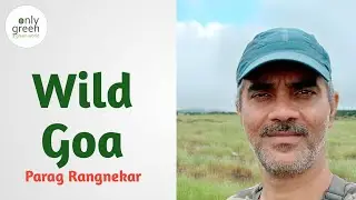 Forests and Wildlife of Goa | Birding | Butterflies and Dragon Flies | Parag Rangnekar | Only Green