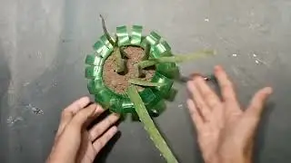 3 Amazing Plastic bottle Craft ideas| home decor idea