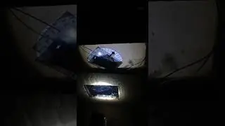 verify malus&rsquo;s law by observing the  variation in the intensity of polarized light with Polaroid