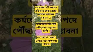 রবিবারে জন্ম নেওয়া ব্যক্তির সাফল্য#heart#শুভ#instrumenttoon#instrument#music#flutist#sixstrings