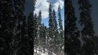 snow fall in Swat valley| Snow fall jargoo swat #swatvally #nature #snowfall
