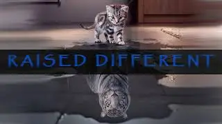 LIONHEART BEATZ - RAISED DIFFERENT