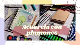Plumones como acuarela | Indra Finebrush | Materiales a prueba