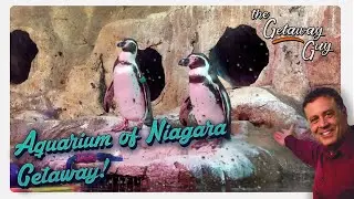 Aquarium of Niagara Getaway!