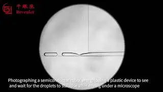 Microfluidic experiment