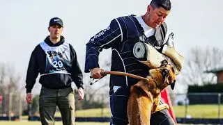 Mark Scola and Arya- American Schutzhund AS1 Obedience