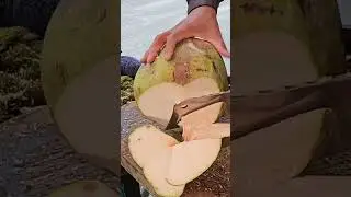 Fantastic skills cutting fresh coconut #streetfood #shorts #viral