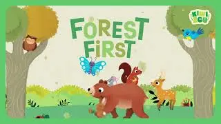 Kiwizou - Forest First -  Game rules - ESP