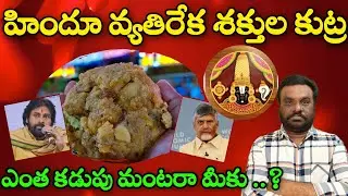 హిందూ వ్యతిరేక శక్తుల కుట్ర | tirumala laddu issue | BC REDDY VLOGS |