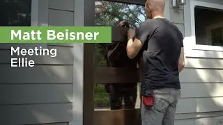 Meeting Ellie (A Professional Dog Trainer&rsquo;s Technique)  &ndash; with Matt Beisner, THE ZEN DOG Founder